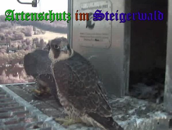 Copyright AiS / 2009 Wörner Bild zum Eintrag (30176-160)
