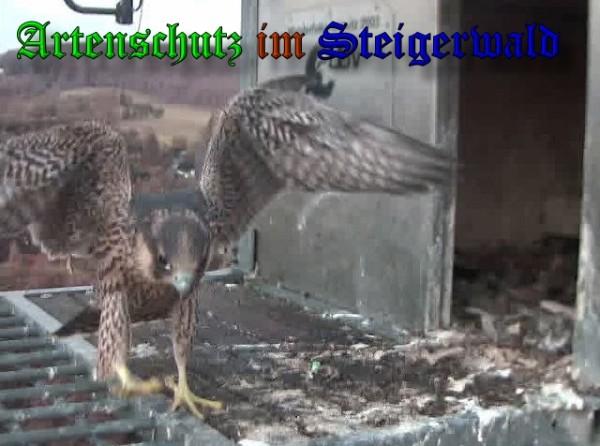 Copyright AiS / 2009 Wörner Bild zum Eintrag (30179-160)