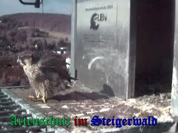 Copyright AiS / 2009 Wörner Bild zum Eintrag (30182-160)