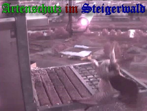 Copyright AiS / 2009 Wörner Bild zum Eintrag (30209-160)