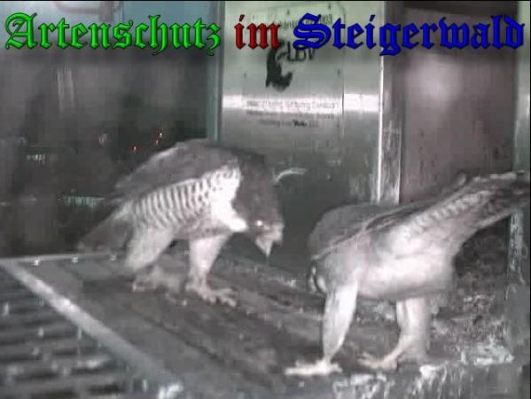 Copyright AiS / 2009 Wörner Bild zum Eintrag (30220-160)
