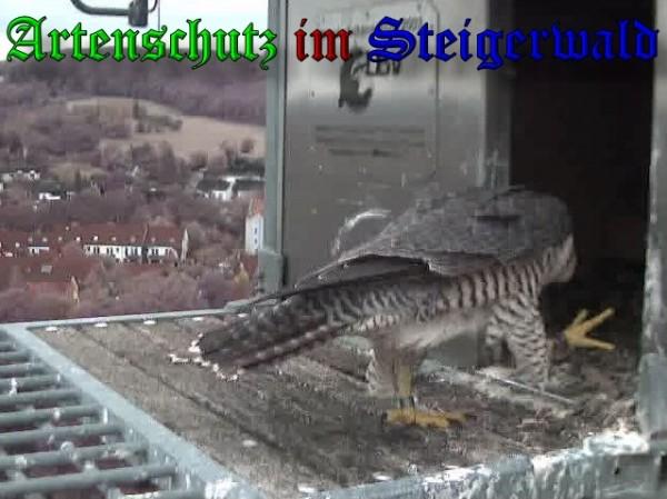 Copyright AiS / 2009 Wörner Bild zum Eintrag (30226-160)