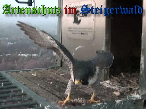Copyright AiS / 2009 Wörner Bild zum Eintrag (30237-160)