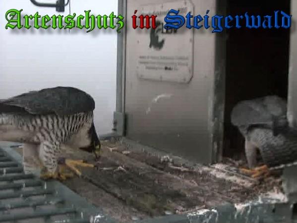 Copyright AiS / 2009 Wörner Bild zum Eintrag (30240-160)