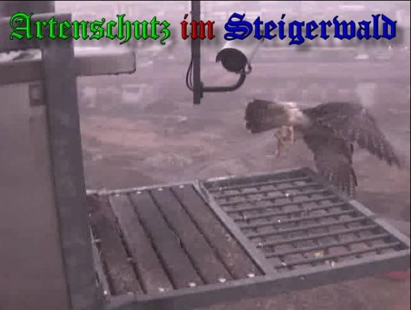 Copyright AiS / 2009 Wörner Bild zum Eintrag (30259-160)