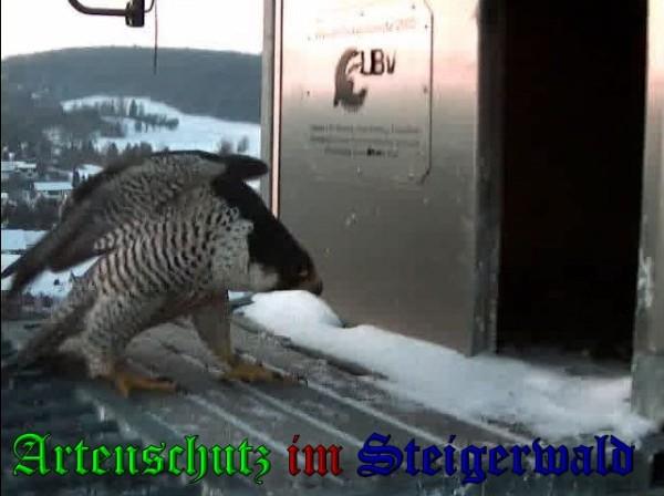 Copyright AiS / 2009 - Wörner Bild zum Eintrag (30289-160)
