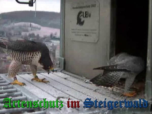Copyright AiS / 2010 - Wörner Bild zum Eintrag (30291-160)
