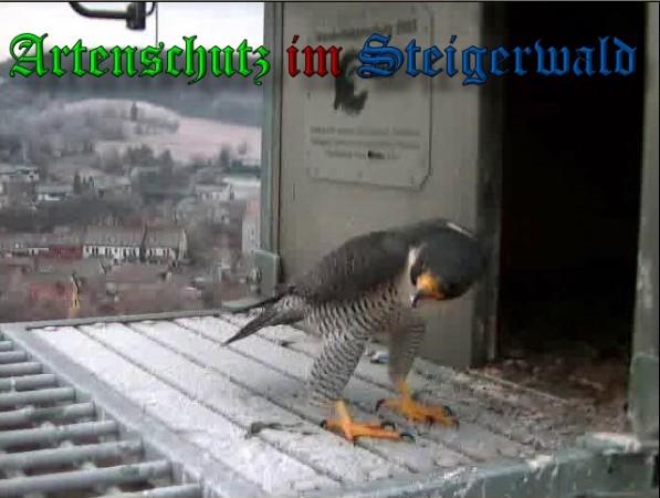 Copyright AiS / 2010 - Wörner Bild zum Eintrag (30292-160)