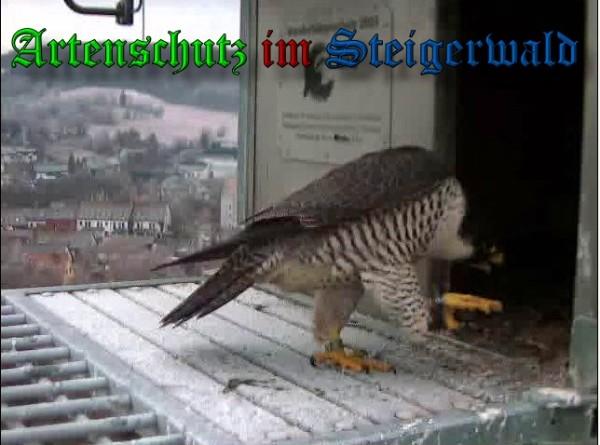 Copyright AiS / 2010 - Wörner Bild zum Eintrag (30293-160)