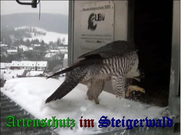 Copyright AiS / 2010 - Wörner Bild zum Eintrag (30295-160)