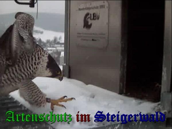 Copyright AiS / 2010 - Wörner Bild zum Eintrag (30296-160)