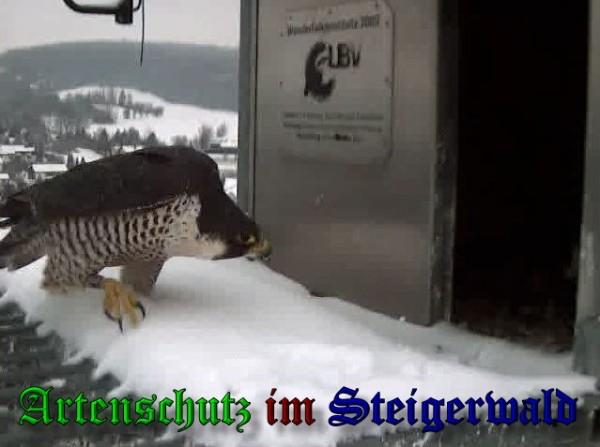 Copyright AiS / 2010 - Wörner Bild zum Eintrag (30297-160)