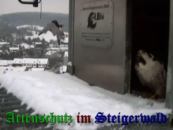Copyright AiS / 2010 - Wörner Bild zum Eintrag (30298-160)