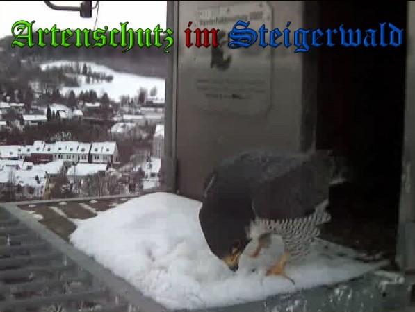 Copyright AiS / 2010 - Wörner Bild zum Eintrag (30299-160)