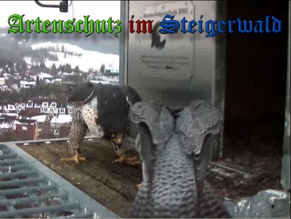 Copyright AiS / 2010 - Wörner Bild zum Eintrag (30300-160)
