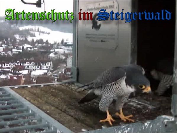 Copyright AiS / 2010 - Wörner Bild zum Eintrag (30301-160)