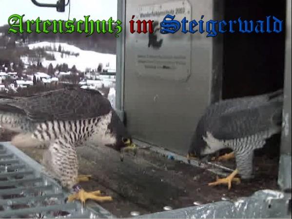 Copyright AiS / 2010 - Wörner Bild zum Eintrag (30302-160)