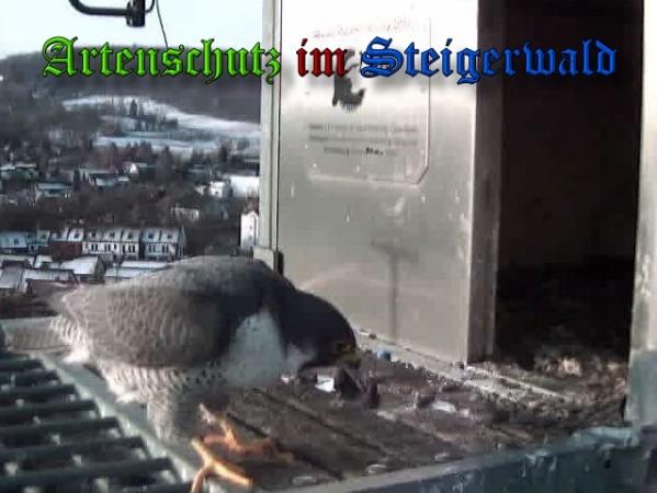 Copyright AiS / 2010 - Wörner Bild zum Eintrag (30309-160)