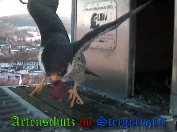 Copyright AiS / 2010 - Wörner Bild zum Eintrag (30310-160)