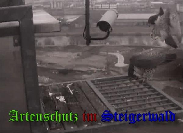 Copyright AiS / 2010 - Wörner Bild zum Eintrag (30311-160)