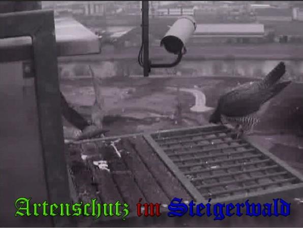Copyright AiS / 2010 - Wörner Bild zum Eintrag (30312-160)