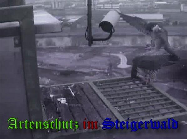 Copyright AiS / 2010 - Wörner Bild zum Eintrag (30313-160)