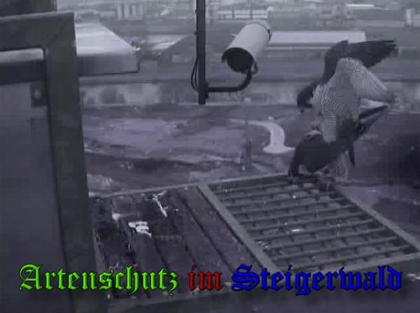 Copyright AiS / 2010 - Wörner Bild zum Eintrag (30314-160)