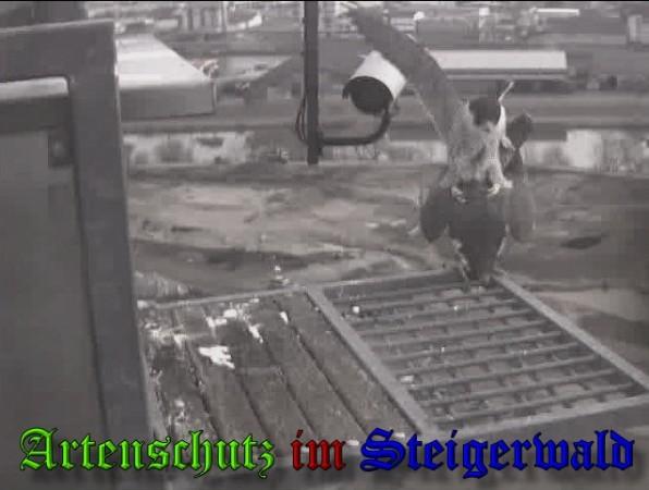 Copyright AiS / 2010 - Wörner Bild zum Eintrag (30315-160)