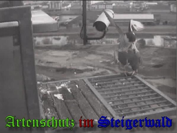 Copyright AiS / 2010 - Wörner Bild zum Eintrag (30316-160)