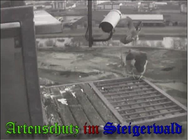 Copyright AiS / 2010 - Wörner Bild zum Eintrag (30317-160)