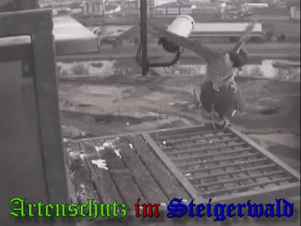 Copyright AiS / 2010 - Wörner Bild zum Eintrag (30318-160)