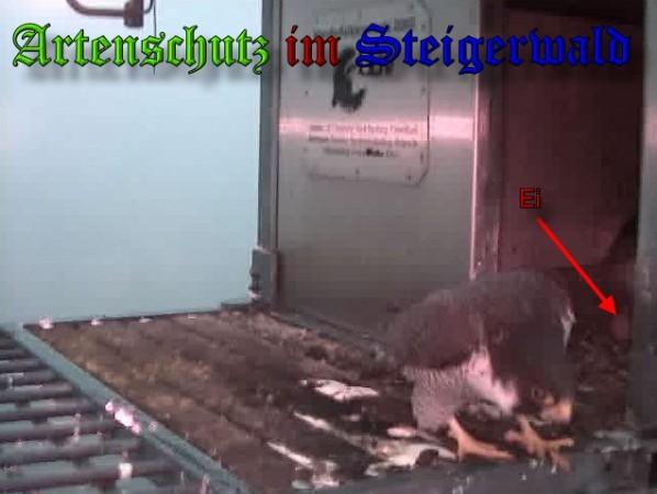 Copyright AiS / 2010 - Wörner Bild zum Eintrag (30319-160)