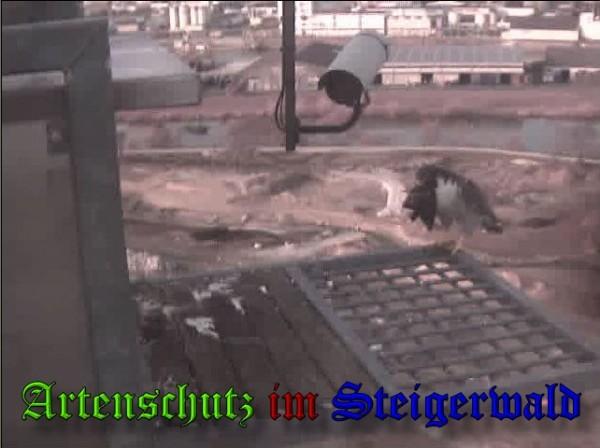 Copyright AiS / 2010 - Wörner Bild zum Eintrag (30320-160)