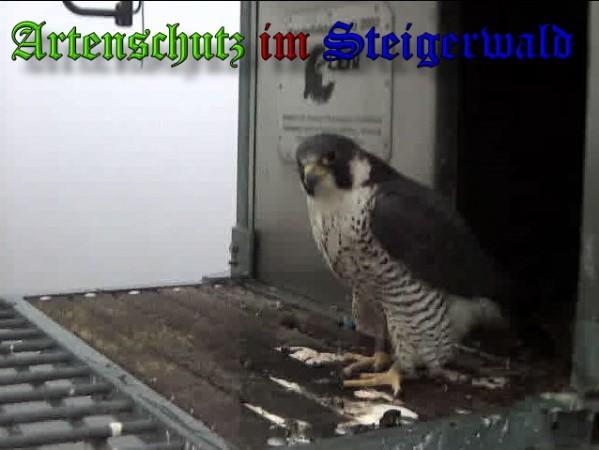 Copyright AiS / 2010 - Wörner Bild zum Eintrag (30321-160)