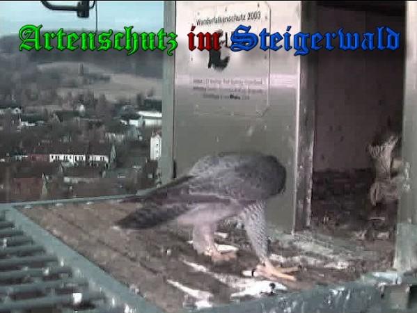 Copyright AiS / 2010 - Wörner Bild zum Eintrag (30323-160)