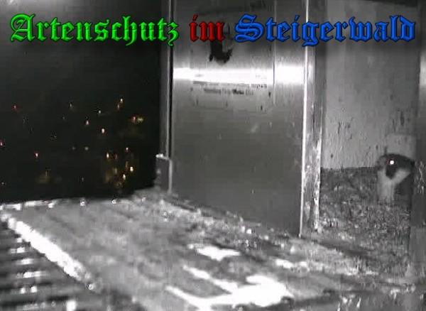 Copyright AiS / 2010 - Wörner Bild zum Eintrag (30324-160)