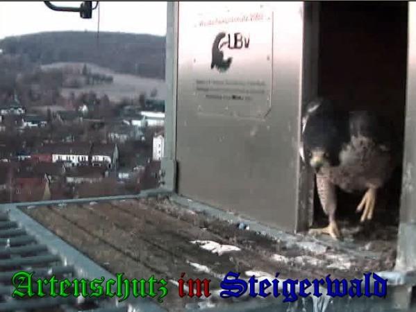 Copyright AiS / 2010 - Wörner Bild zum Eintrag (30327-160)