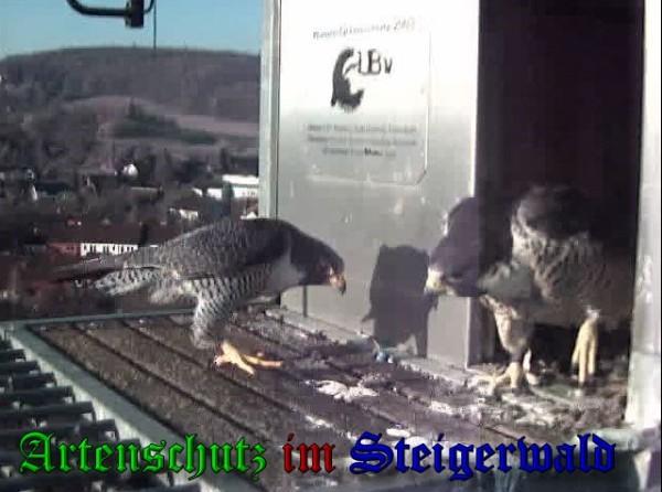 Copyright AiS / 2010 - Wörner Bild zum Eintrag (30328-160)