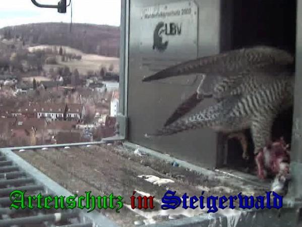 Copyright AiS / 2010 - Wörner Bild zum Eintrag (30329-160)