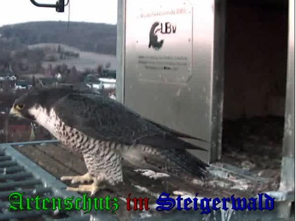 Copyright AiS / 2010 - Wörner Bild zum Eintrag (30330-160)