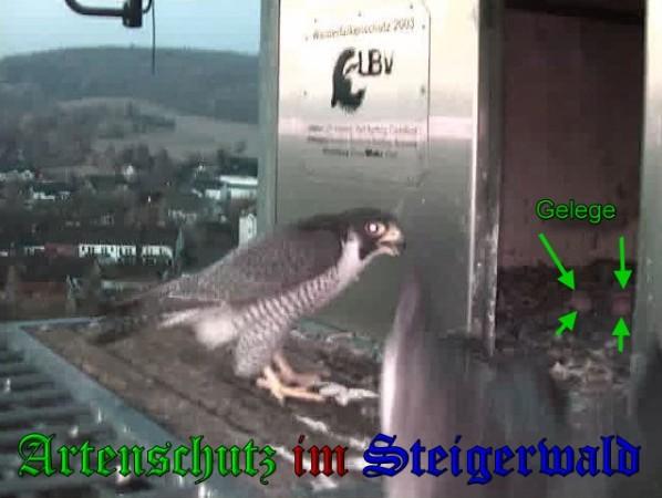Copyright AiS / 2010 - Wörner Bild zum Eintrag (30333-160)