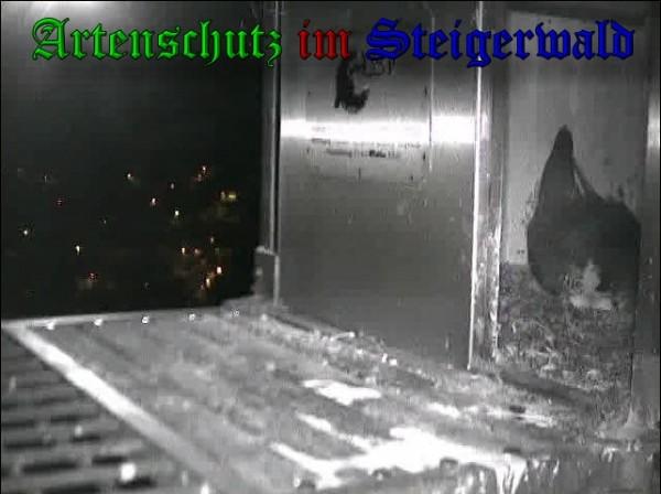 Copyright AiS / 2010 - Wörner Bild zum Eintrag (30336-160)