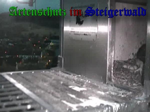 Copyright AiS / 2010 - Wörner Bild zum Eintrag (30337-160)