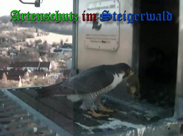 Copyright AiS / 2010 - Wörner Bild zum Eintrag (30339-160)