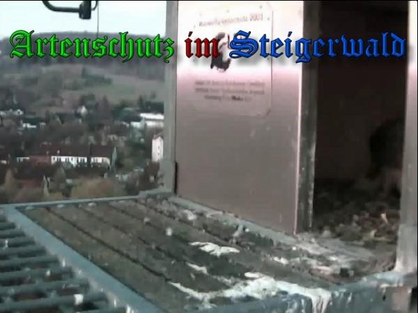 Copyright AiS / 2010 - Wörner Bild zum Eintrag (30341-160)