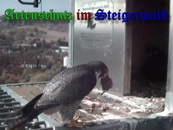 Copyright AiS / 2010 - Wörner Bild zum Eintrag (30345-160)