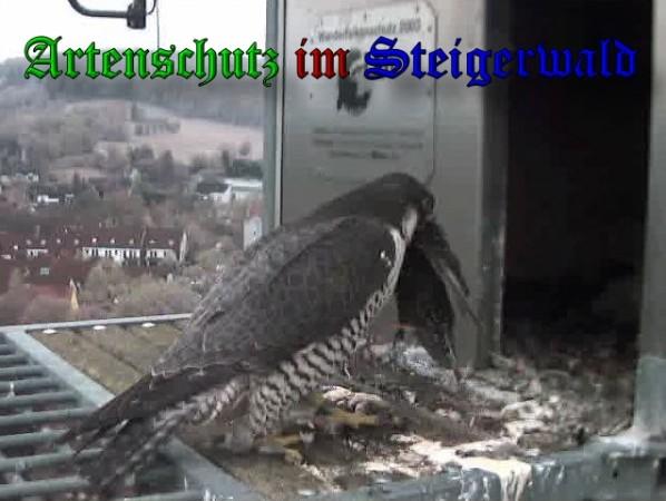 Copyright AiS / 2010 - Wörner Bild zum Eintrag (30348-160)