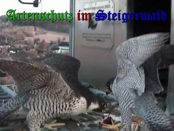 Copyright AiS / 2010 - Wörner Bild zum Eintrag (30349-160)