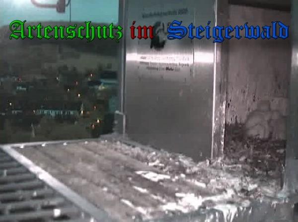 Copyright AiS / 2010 - Wörner Bild zum Eintrag (30352-160)