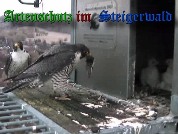 Copyright AiS / 2010 - Wörner Bild zum Eintrag (30353-160)